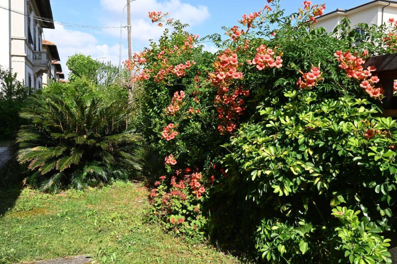 Villa Mehari Piza Zewnętrze zdjęcie