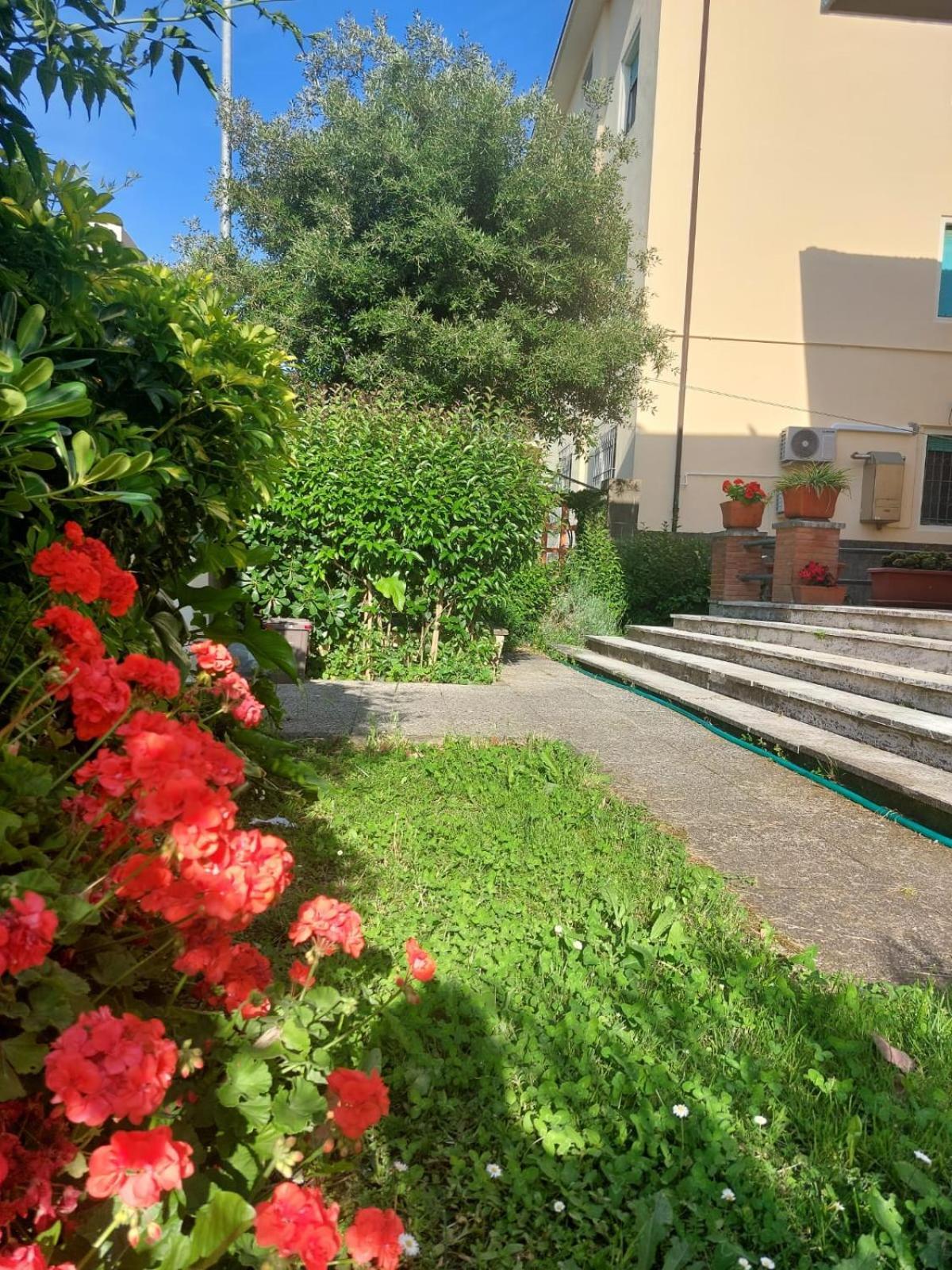 Villa Mehari Piza Zewnętrze zdjęcie