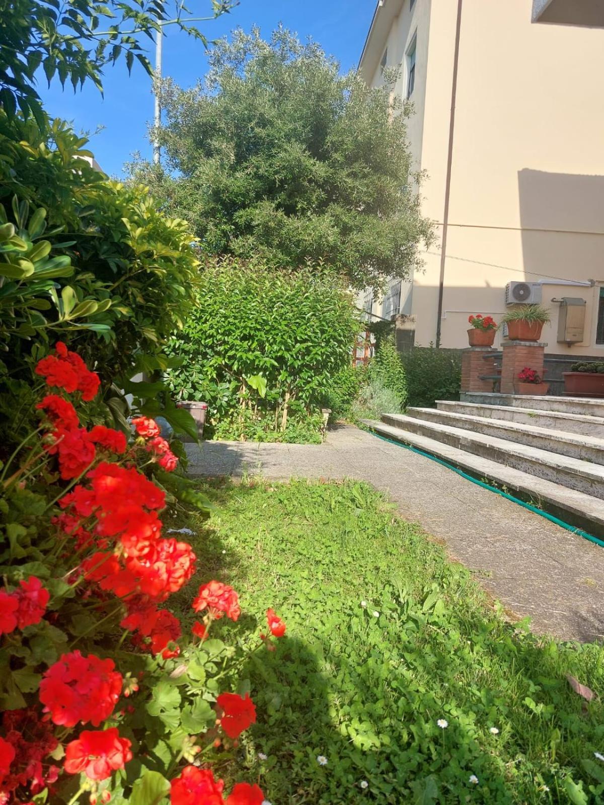 Villa Mehari Piza Zewnętrze zdjęcie